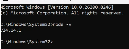 Node Version